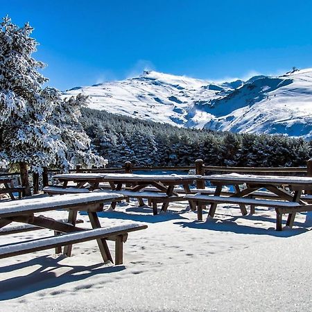 Todosierranevada Zona Baja - Apartamentos De 4 Dormitorios - Junto A Los Telecabinas Sierra Nevada Eksteriør bilde