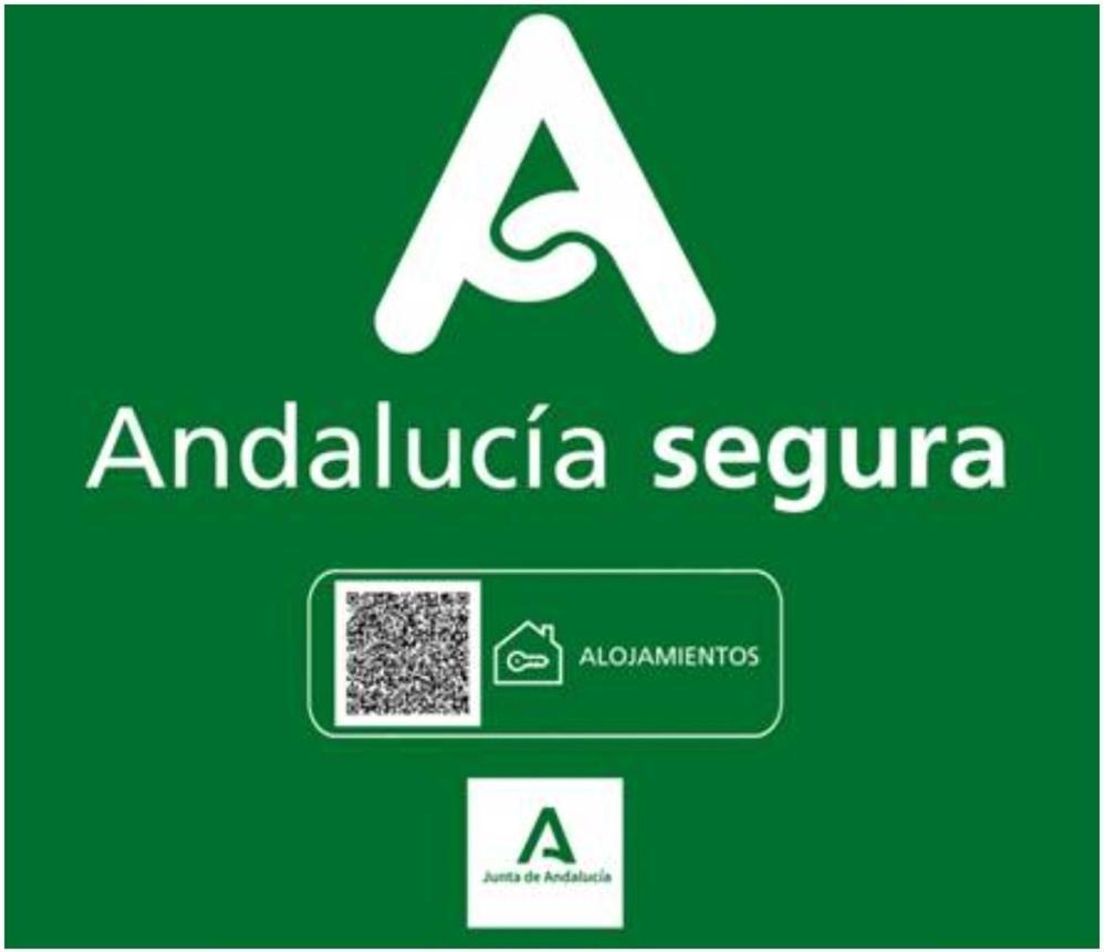 Todosierranevada Zona Baja - Apartamentos De 4 Dormitorios - Junto A Los Telecabinas Sierra Nevada Eksteriør bilde
